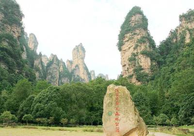 走湘西——張家界、鳳凰古城游記(一)