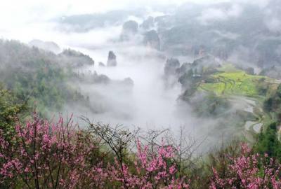 候鳥的選擇，彰顯湖南生態(tài)系統(tǒng)持續(xù)優(yōu)化