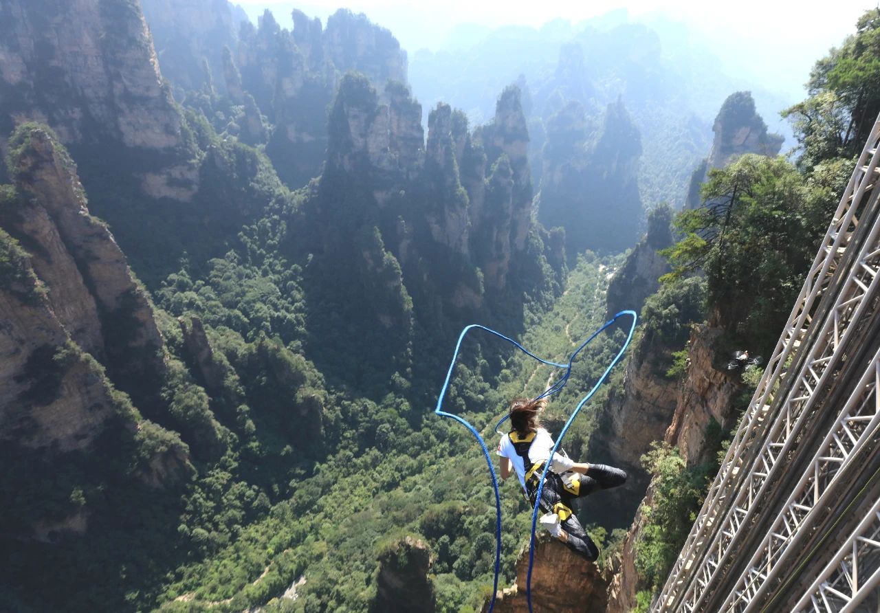 微信圖片_20250516143817